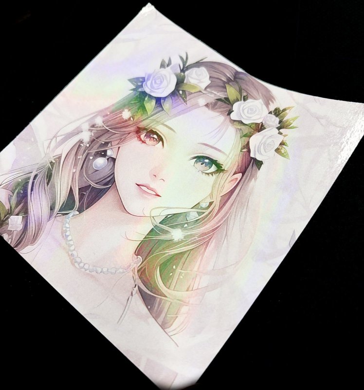 画像3: ホログラムラミネートフィルム (SA04) 760mm ｘ 20m巻 (3)