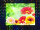 他の写真2: ホログラムラミネートフィルム (K17) 760mm ｘ 20m巻