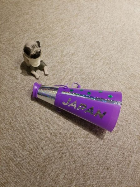 画像6: ホログラムフィルム　MP06　600mm幅（メーター売り） (6)